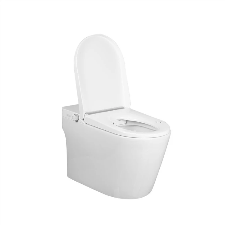 One Piece Intelligent Toilet